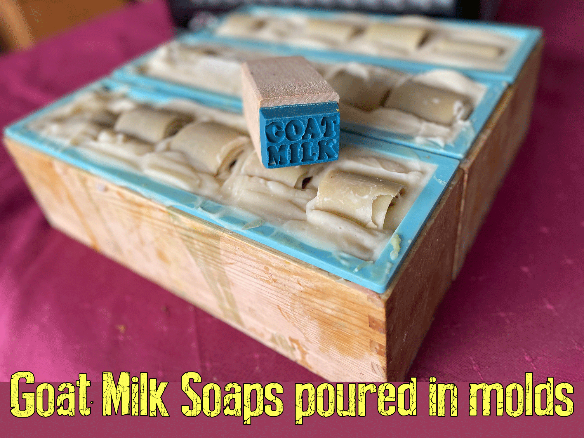 Goat Milk Soap in Molds