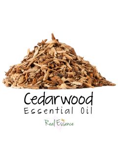 Cedarwood Essential Oil | 100% Pure and Natural | Essential oil for hair growth | Earthy Woody Aroma | Aromatherapy Grade Essential Oil