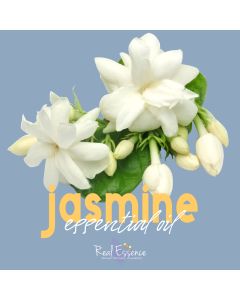 Jasmine Absolute Essential Oil | Aromatherapy Grade Pure Jasmine Essential Oil | Jasmine Oil for Skincare & Personal Care