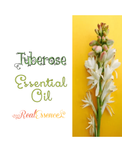 pure tuberose essential oil